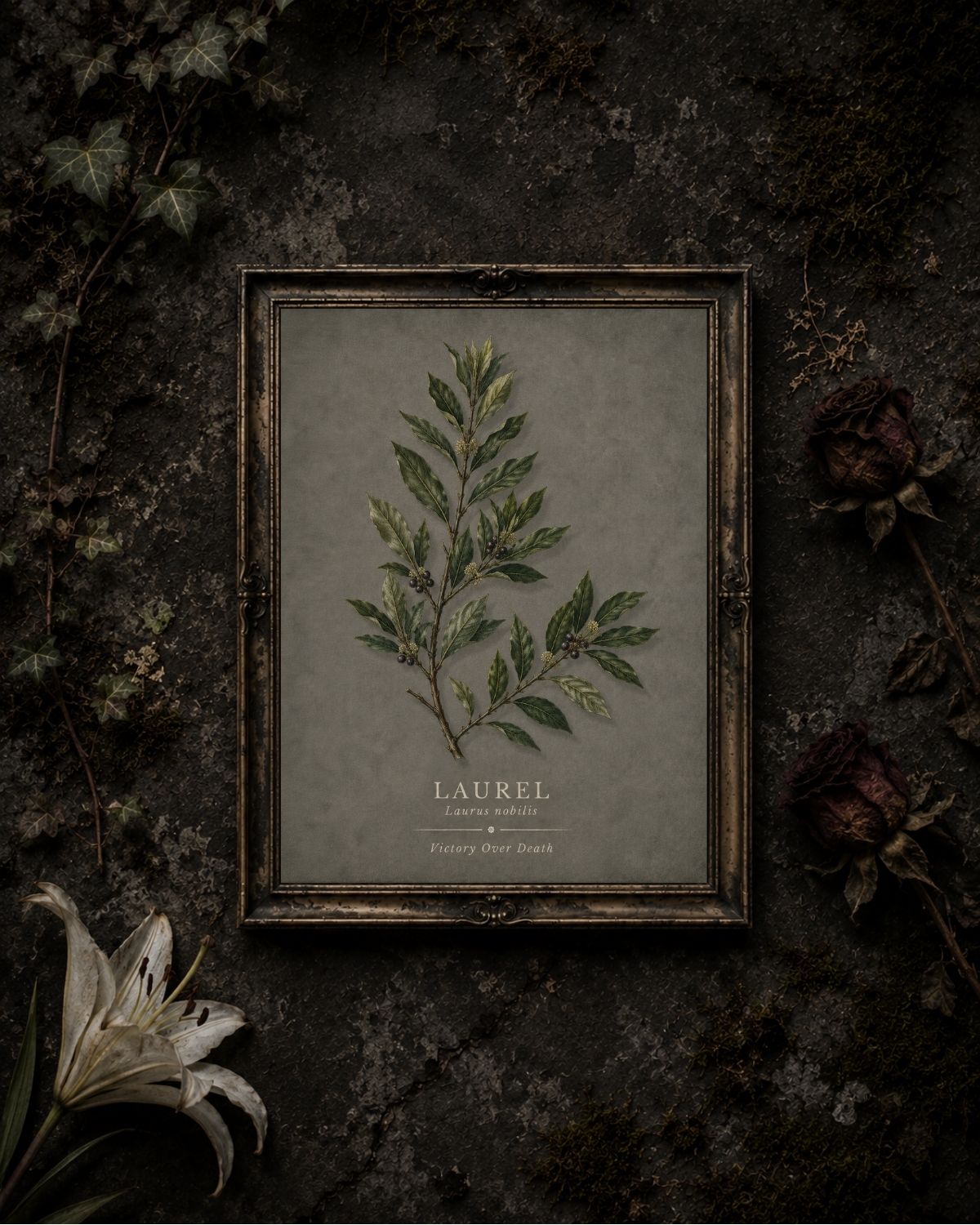 Laurel — Victory Over Death Victorian Cemetery Botanical Printable