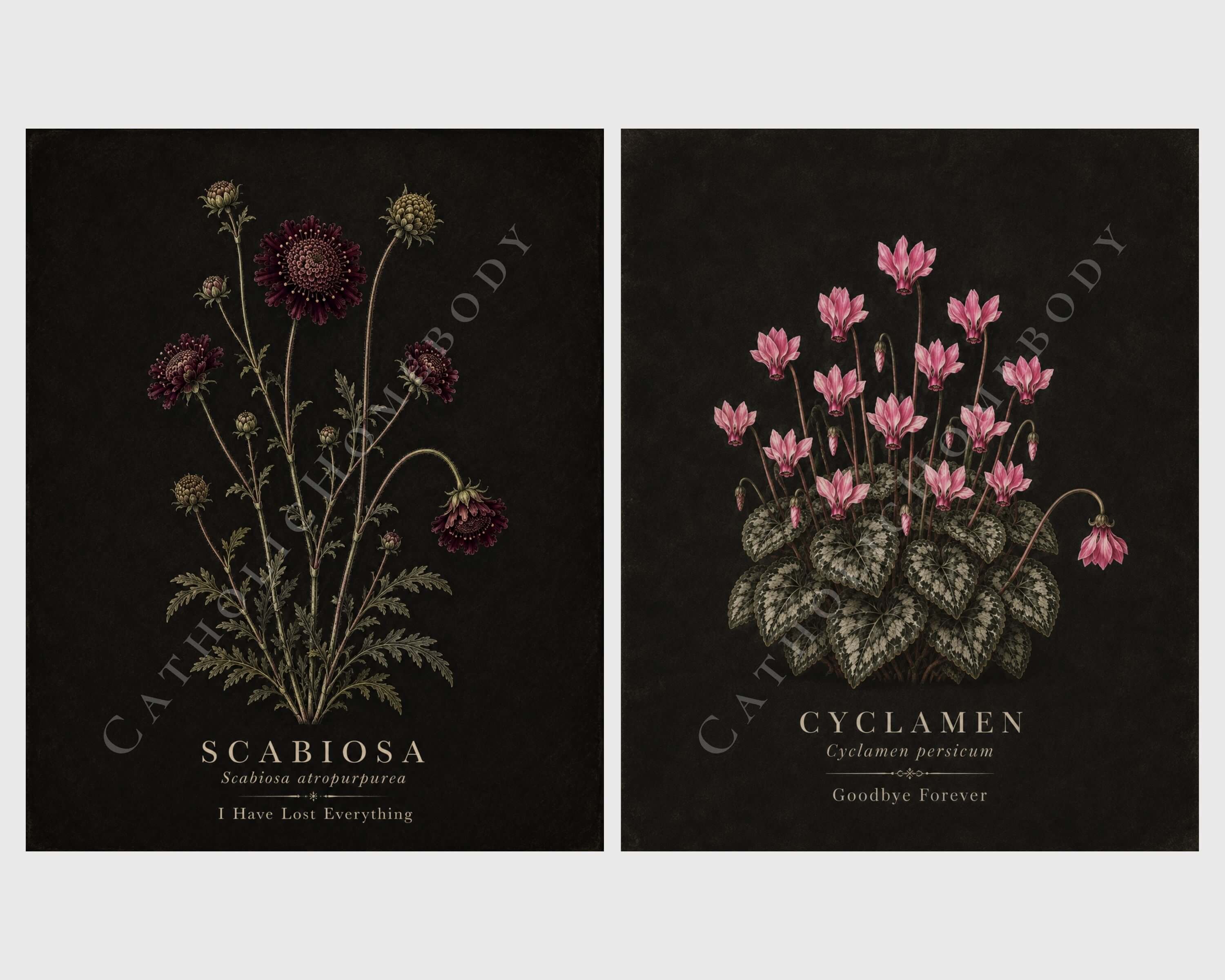 The Mourning Garden — Victorian Flower Meaning Printable Art Collection - Image 5