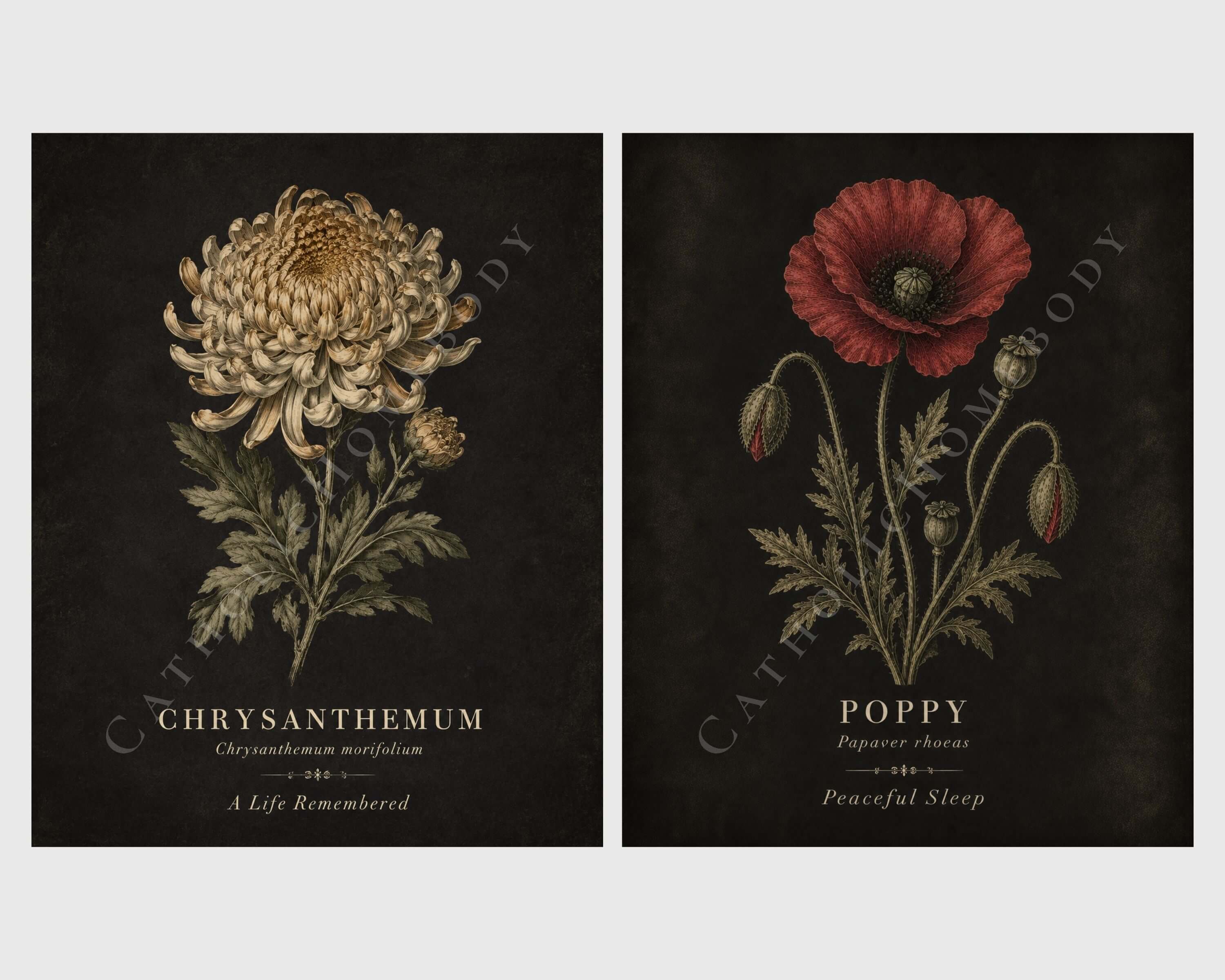 The Mourning Garden — Victorian Flower Meaning Printable Art Collection - Image 6