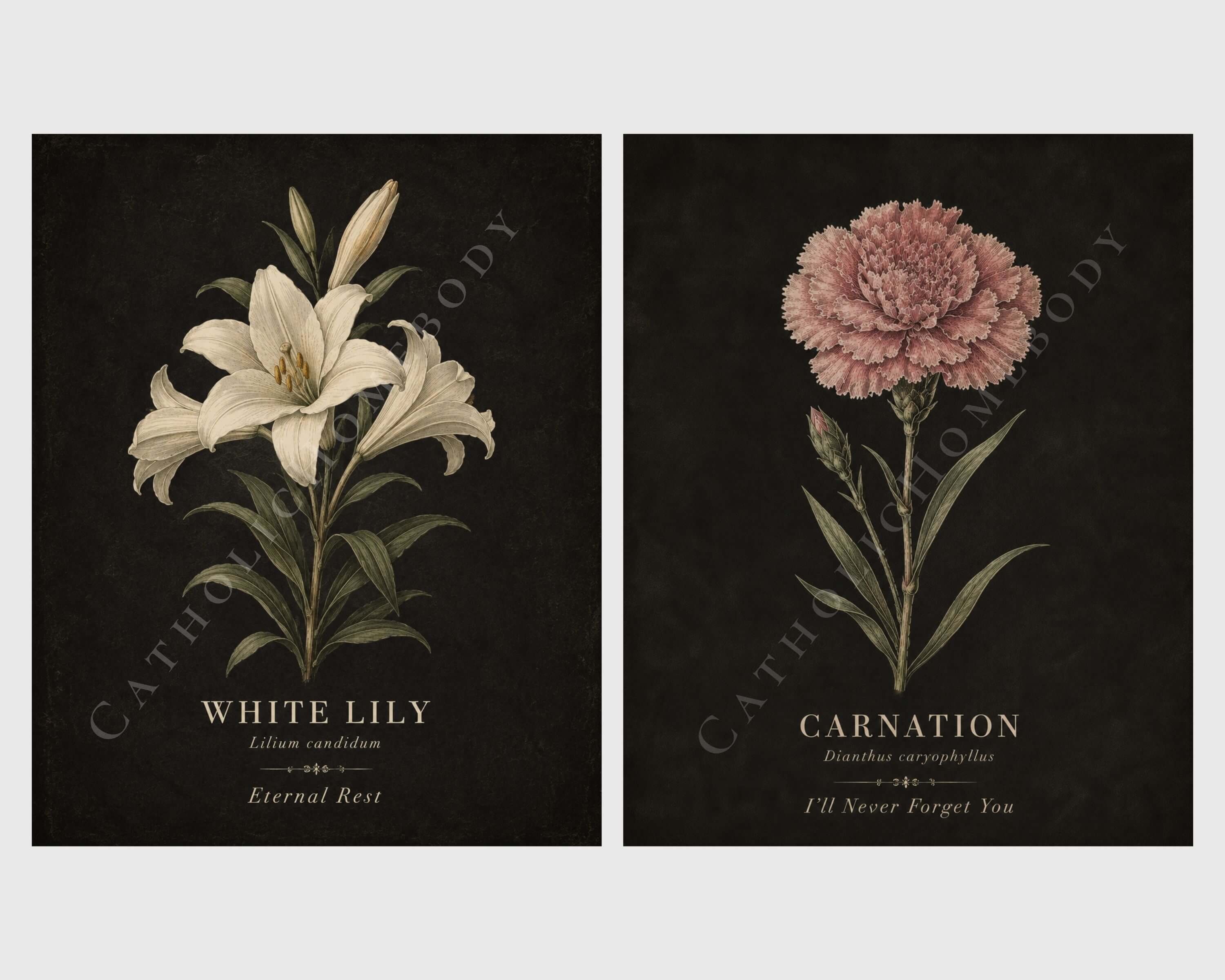 The Mourning Garden — Victorian Flower Meaning Printable Art Collection - Image 7